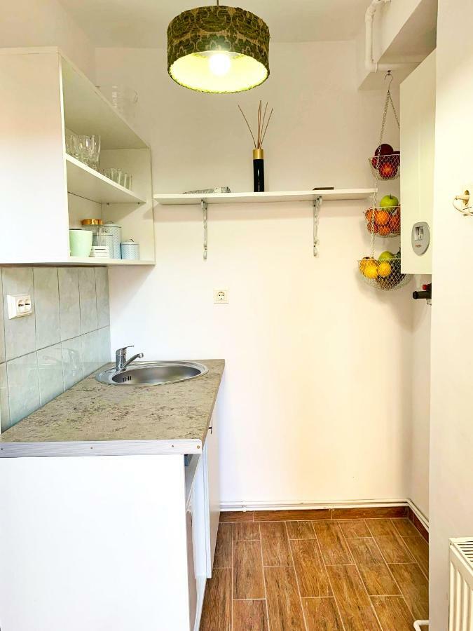 Pine House Apartment Брашов Екстериор снимка