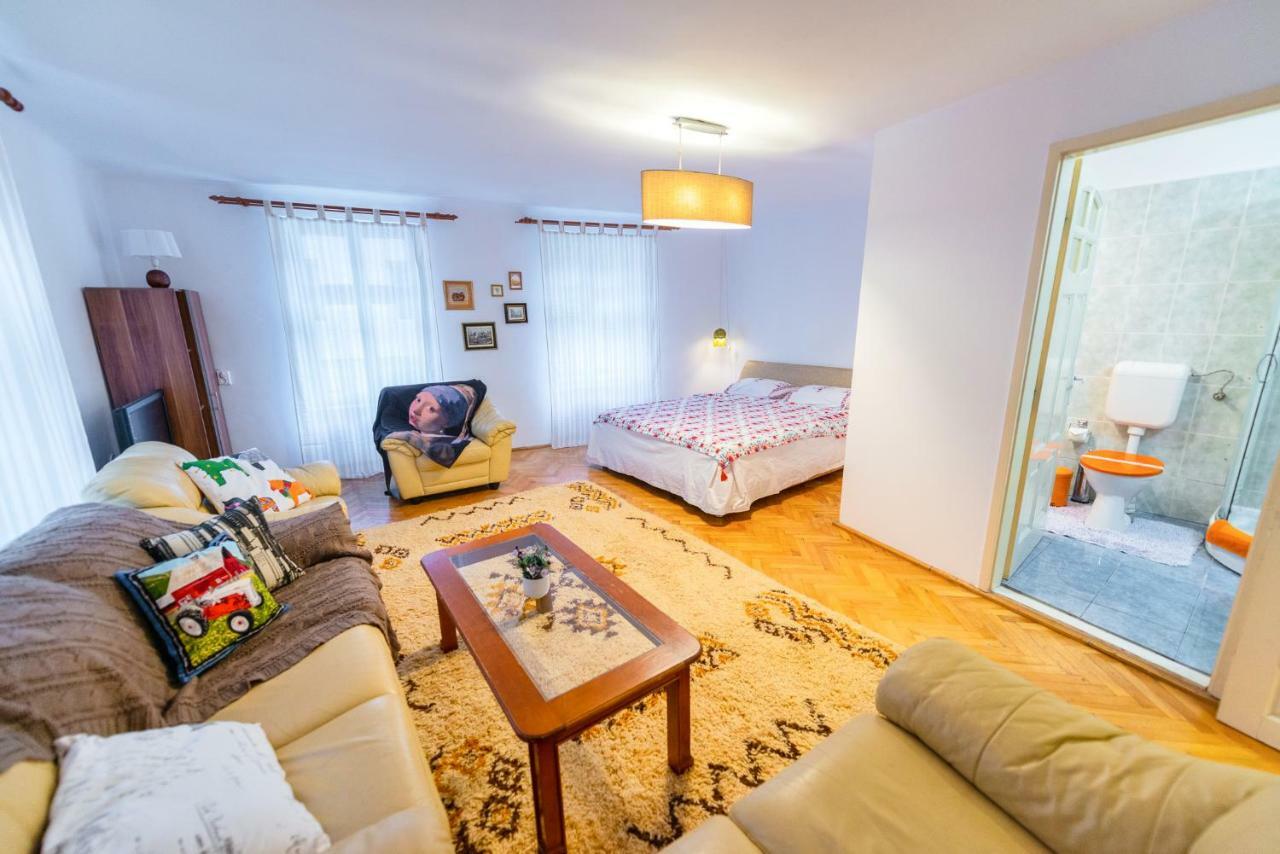 Pine House Apartment Брашов Екстериор снимка