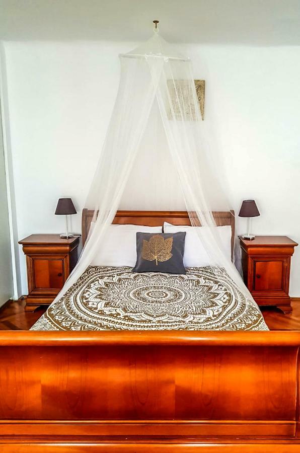 Pine House Apartment Брашов Стая снимка